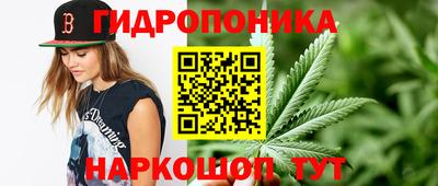 Альфа ПВП Тара