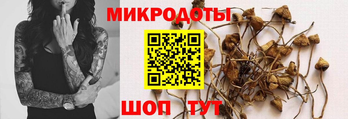 Нерюнгри  Псилоцибиновые грибы Magic Shrooms  цена   Вход с VPN 